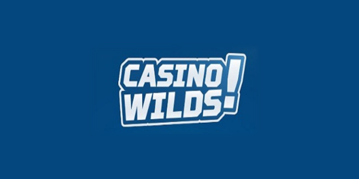 CasinoWilds Casino Logo