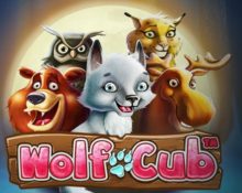 Wolf Cub™ – €10K Netent Prize Draw!