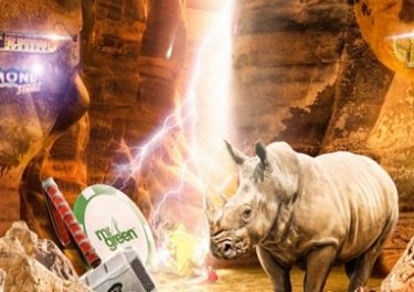 Mr Green –  Go WILD for €7,500!