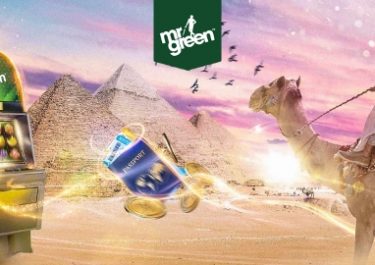 Mr Green – Finding Mr Green | Ancient Egypt!