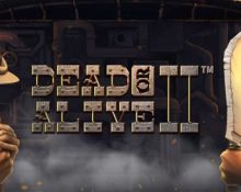 Dead Or Alive II Slot Preview
