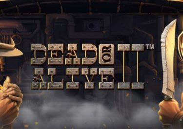 Dead Or Alive II Slot Preview