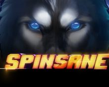 Spinsane Slot Preview