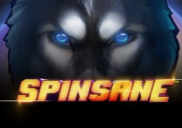 Spinsane Slot Preview